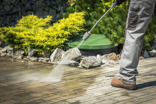 Best Boat and Dock Cleaning  in Rk Forest Village, PA